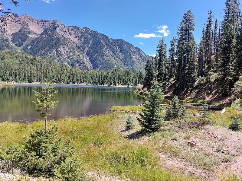 Scenic view of a lake surrounded by mountains and pine trees under a clear blue sky