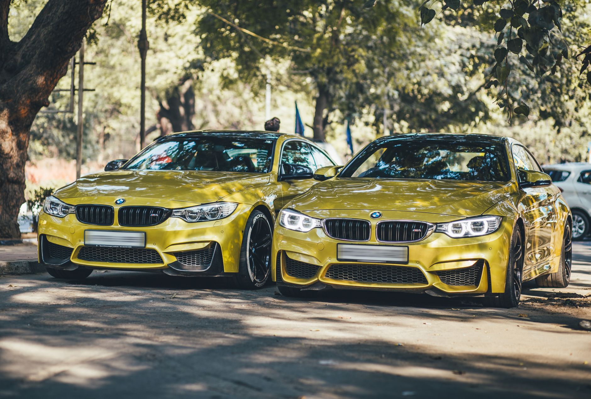 Two luxury BMW cars parked under trees in New Delhi on a sunny day. — Doing Vehicle Importing Is Easier With Help