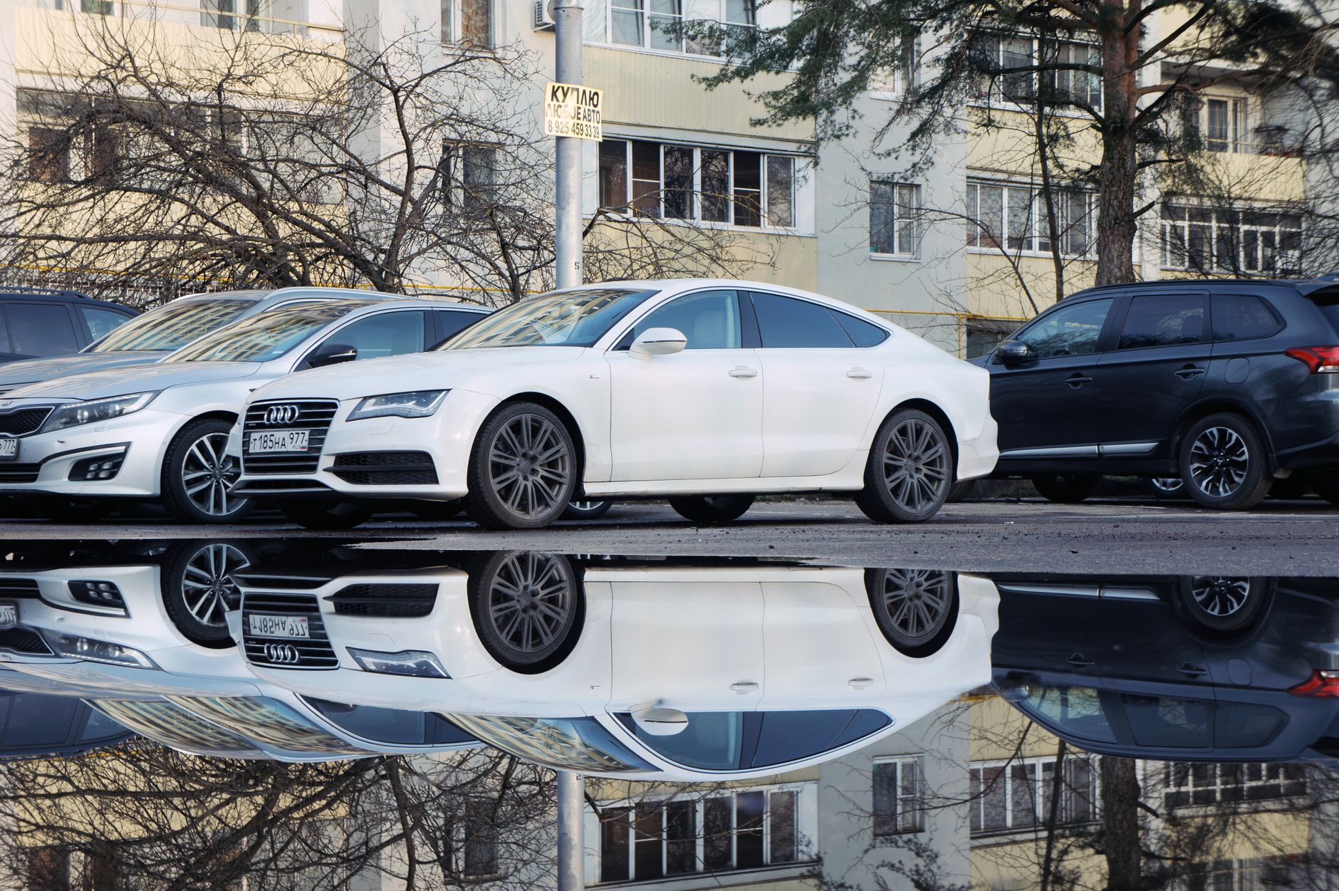 A sleek white car is reflected in a puddle on an urban street, parked alongside other vehicles. — Learn how to drive before b