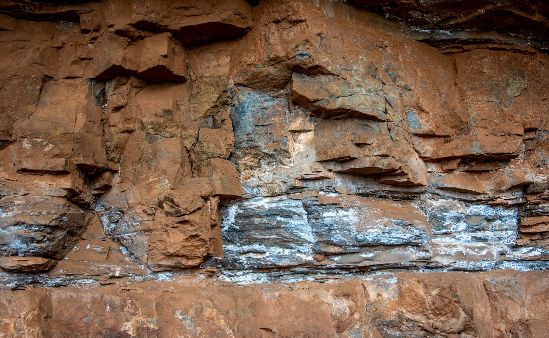 Detailed view of layered rock formations showcasing natural texture and color. — Increase Brand Awareness with a Purc